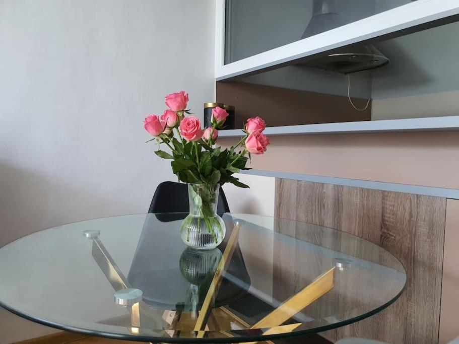 Chlodna Cozy Apartament